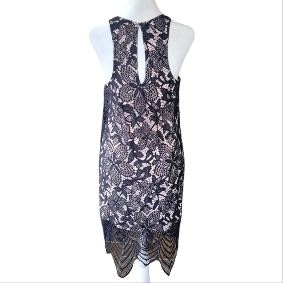 Express Lace Midi Sheath Dress Black & White Medium - Picture 4 of 7